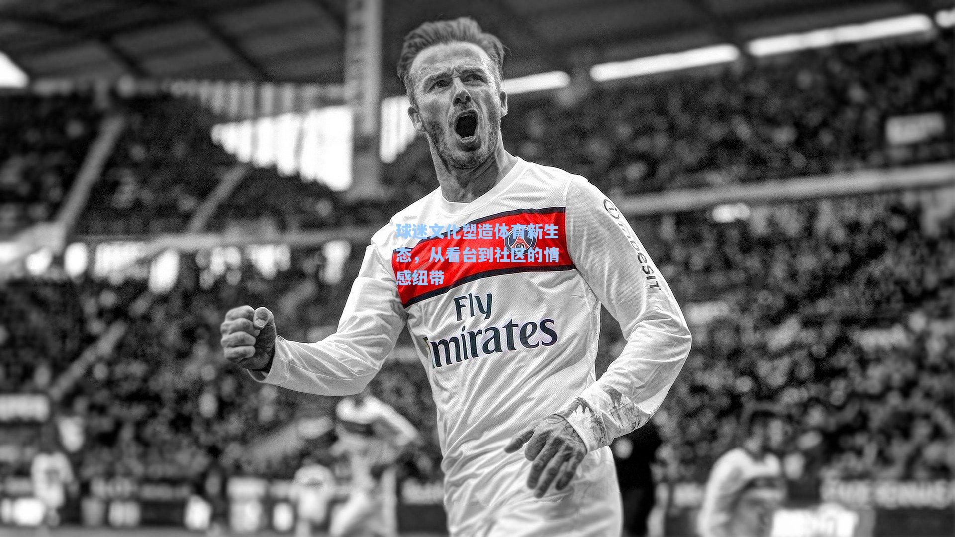 球迷文化塑造体育新生态，从看台到社区的情感纽带