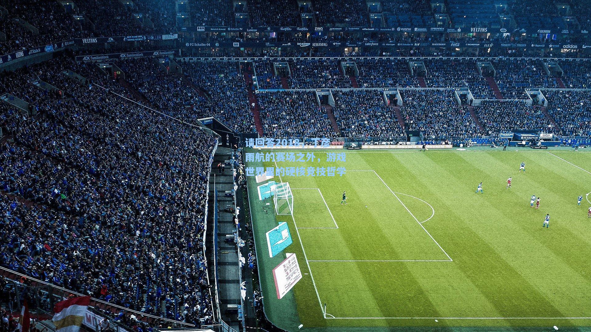 请回答2018，丁彦雨航的赛场之外，游戏世界里的硬核竞技哲学